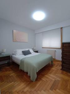 een slaapkamer met een bed en een houten vloer bij Acogedor apartamento en Vigo in Vigo
