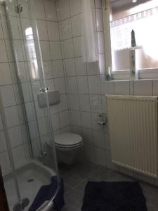 a bathroom with a toilet and a shower and a window at Gemütliches Ferienhaus in Theley mit Terrasse, Garten und Grill in Tholey