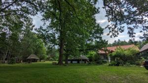 a yard with a large tree in front of a house at Dom letniskowy Sami Swoi in Lipowiec Nowy
