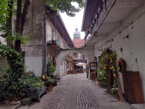 an alley way in an old building with plants at Cracowapart Hugo in Kraków