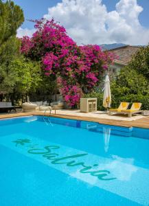 a swimming pool with blue water and pink flowers at La Salvia Hotel Kas in Kas