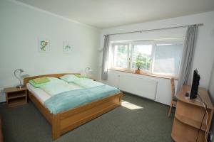 羅斯諾夫·波德·拉德霍斯滕的住宿－Penzion Garni，一间卧室设有一张床、一个窗口和一台电视