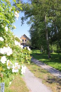 a path in front of a house with white flowers at Watt´n Dog - Urlaub direkt am Nordseedeich in Spieka-Neufeld