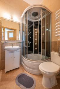 La salle de bains est pourvue d'une douche, de toilettes et d'un lavabo. dans l'établissement Willa Dorotka, à Dąbki