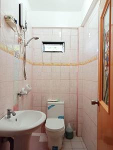 a bathroom with a toilet and a sink at Banaue Pink Eco hostel in Banaue