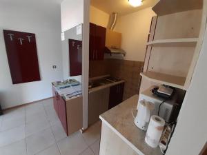 APARTMANI DELAS的厨房或小厨房