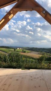 a view of a field from an airplane wing at Agriturismo La Cà Veja in Monforte dʼAlba