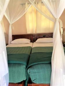 2 camas con cortinas y sábanas verdes y blancas en Double lodge on natural African bush - 2112 en Bulawayo