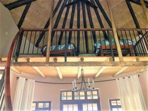Gallery image of Family Lodge in Natural African bush - 2113 in Bulawayo +26 photos