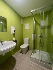 a bathroom with a sink and a toilet and a shower at ALBERGUE CASTELOS VILALBA in Villalba