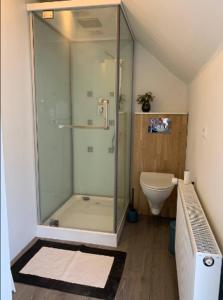 a bathroom with a glass shower and a toilet at Rebild Skovhuse in Skorping