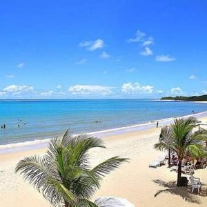 una playa con palmeras y gente en el agua en DE FRENTE PRA PRAIA Apartamento da Cris Taperapua - Condomínio América Praia Flat, en Porto Seguro