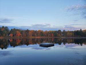 a lake with a dock in the middle of it at Spring Lake Resort in Dwight