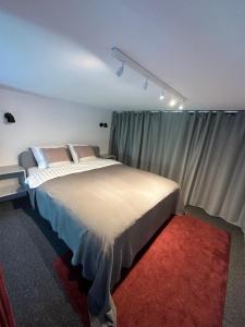 a bedroom with a large bed with curtains and a red rug at M Loft2 in Kaunas