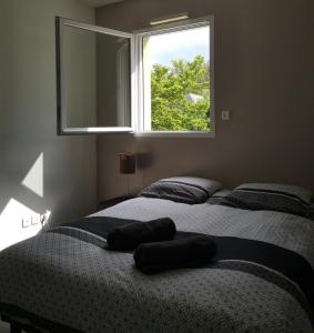 a bedroom with two beds and a window at Aux portes de Nantes, 2 pièces moderne et confortable in Carquefou