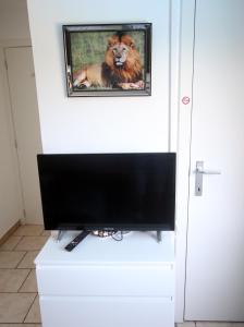 TV a/nebo společenská místnost v ubytování Chambre d'hôte Blankenberge