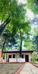 a building with a tree in front of it at Complex Holiday Neptun in Neptun