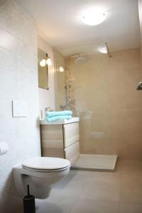 a bathroom with a toilet and a shower and a sink at Apartmán Květinový Dům in Hluk