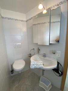 Koupelna v ubytování Dream holiday house with a fantastic view of Lake Maggiore and the pool + 37 fotografií
