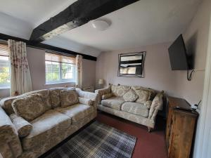 a living room with a couch and a tv at Otters' Lodge in Rooks Bridge