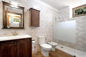 a bathroom with a toilet and a sink and a mirror at La Casa de Abajo in Valverde +20 photos