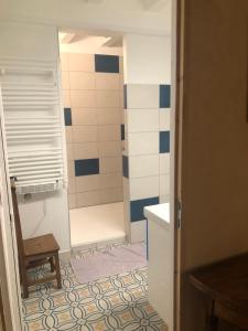 a bathroom with a shower and a toilet at L’ABSINTHE in Bannans