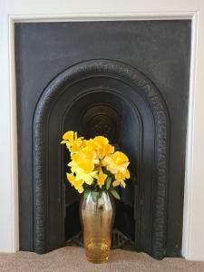 a vase of yellow flowers in front of a fireplace at Cosy Cottage for work or leisure, RD&E 20min walk, easy access to city centre in Exeter