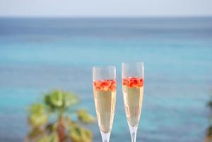 卡拉米洛阿尔波拉达公寓的两杯香槟,里面装有鲜花