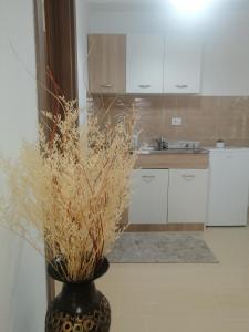 une cuisine avec un vase et des plantes. dans l'établissement Dizara Apartman's, à Ulcinj