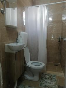 een badkamer met een toilet, een wastafel en een douche bij Dizara Apartman's in Ulcinj