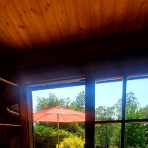 ein Fenster mit einem Sonnenschirm in einem Zimmer mit Bäumen in der Unterkunft Chalet en pleine nature au bord d'un étang in Lanvallay