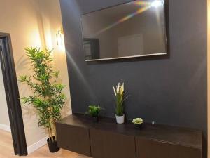 a mirror on a wall with plants on a dresser at The Marlborough by M-GroupSA in Swansea