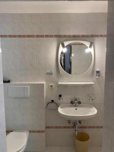 a bathroom with a sink and a mirror and a toilet at Hotel Alpenhof in Solda