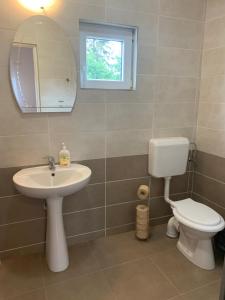 a bathroom with a sink and a toilet and a mirror at Camere de închiriat în localitatea Dănești in Dăneşti