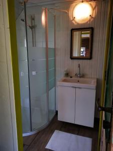 a bathroom with a sink and a glass shower at Trekkershut - Tiny House - Hikers cottage in Wijster