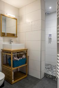 een badkamer met een wastafel en een spiegel bij Appartement cosy face à la basilique Saint Remi in Reims