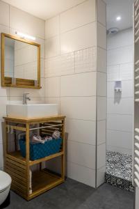 łazienka z umywalką i lustrem w obiekcie Appartement cosy face à la basilique Saint Remi w mieście Reims