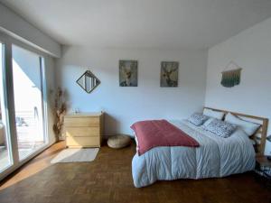 1 dormitorio con 1 cama, vestidor y ventana en Proche tram A: 3 personnes, balcon, wifi gratuit, en Grenoble