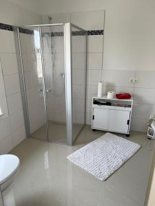ein Badezimmer mit einer Dusche, einem WC und einem Teppich in der Unterkunft Zum Rosental in Rötha