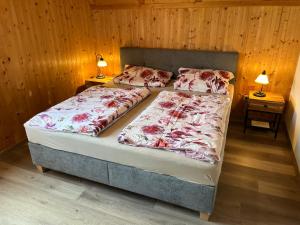 two beds in a bedroom with two lamps on tables at Alpenferienhaus Sophia in Sankt Lorenzen ob Murau