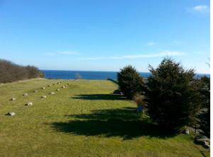a line of trees in a field with the ocean at Fehmarn-OstseeferienSeeblick204 in Fehmarn