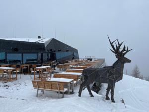 Alpenferienhaus Sophia during the winter