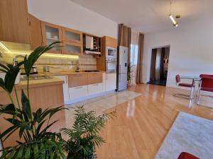 Kuchyň nebo kuchyňský kout v ubytování Guest House Laura