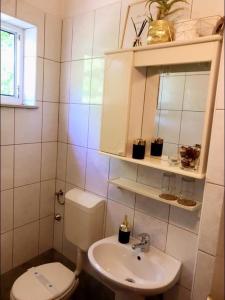 a small bathroom with a toilet and a sink at SanMari in Novi Vinodolski