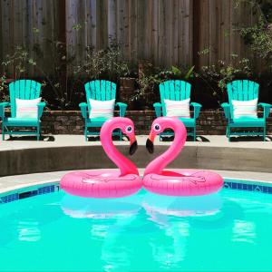 dos flamencos rosas están en una piscina en Sunny Cove Motel, en Santa Cruz