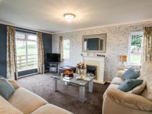 a living room with two couches and a fireplace at Handale Banks Farm Lodge in Saltburn-by-the-Sea