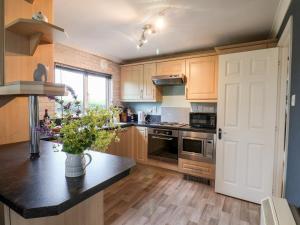 a kitchen with wooden cabinets and a black counter top at Handale Banks Farm Lodge in Saltburn-by-the-Sea