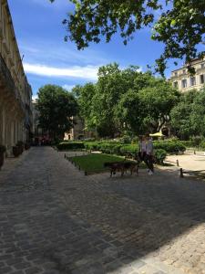 dos personas y dos perros caminando por una calle en Appartement Vieille Intendance, en Montpellier