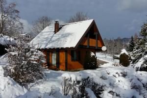 a house covered in snow with trees and bushes at Chalet Le Pin in Xonrupt-Longemer