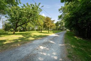 a gravel road in a park with trees at Grashaus Upleward in Krummhörn +7 photos